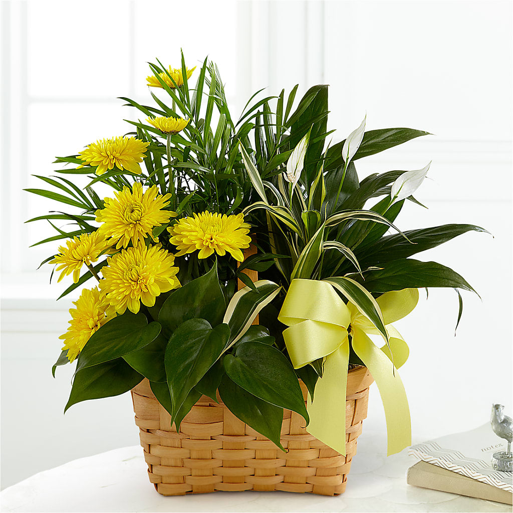 Loving Light Dishgarden – T & T FLORAL, Kingsley MI