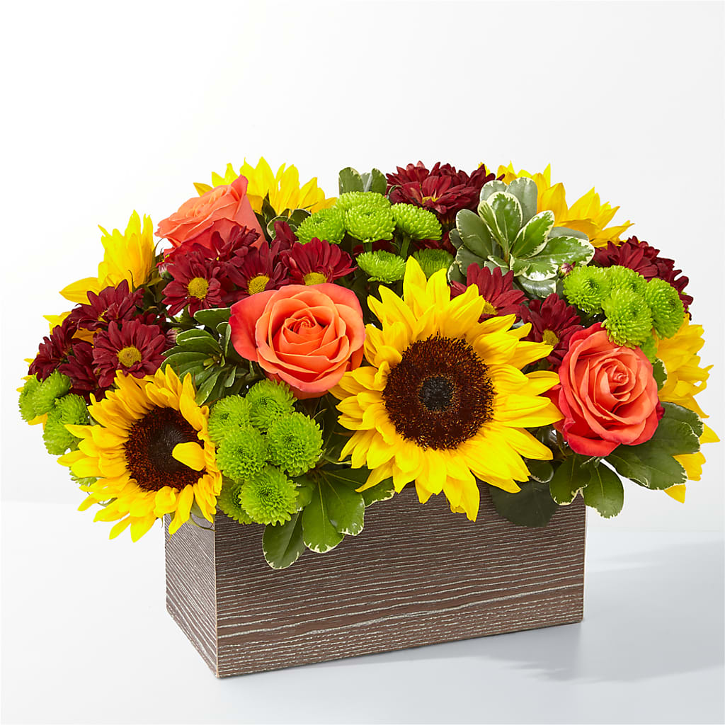 Happy Harvest Garden – T & T FLORAL, Kingsley MI