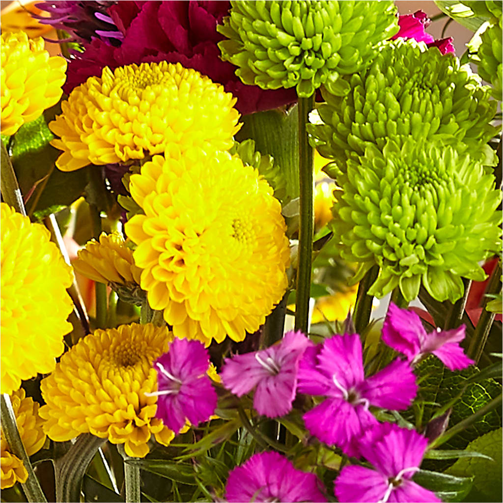 Bold & Bright – A Florist Original – T & T FLORAL, Kingsley MI