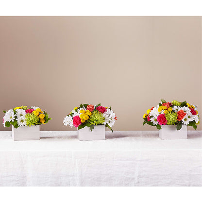 Sorbet Bouquet – T & T FLORAL, Kingsley MI