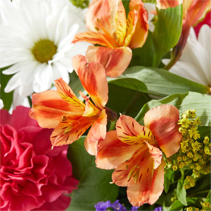 Oopsie Daisy Box Bouquet – T & T FLORAL, Kingsley MI
