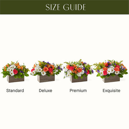 Oopsie Daisy Box Bouquet – T & T FLORAL, Kingsley MI