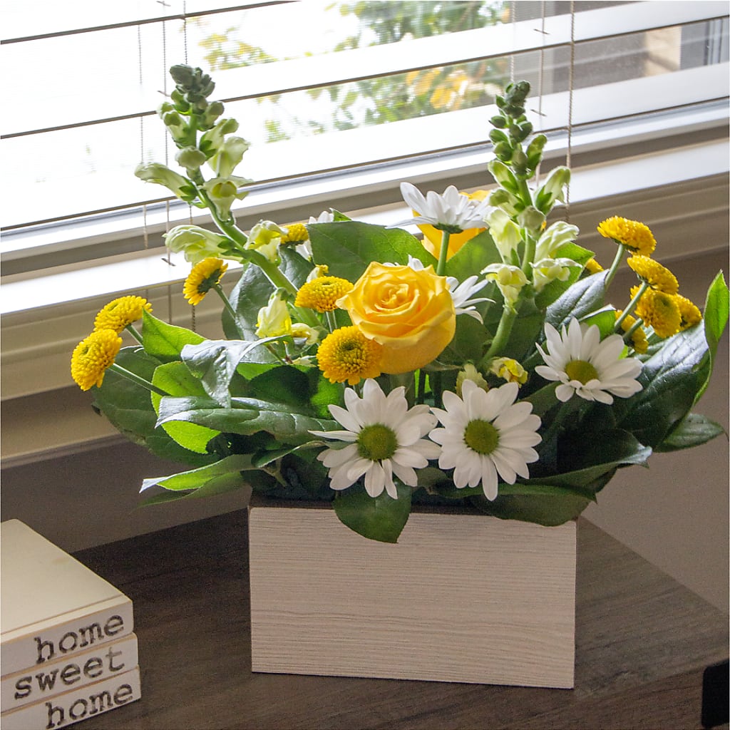 Sun Salutation Box Bouquet – T & T FLORAL, Kingsley MI