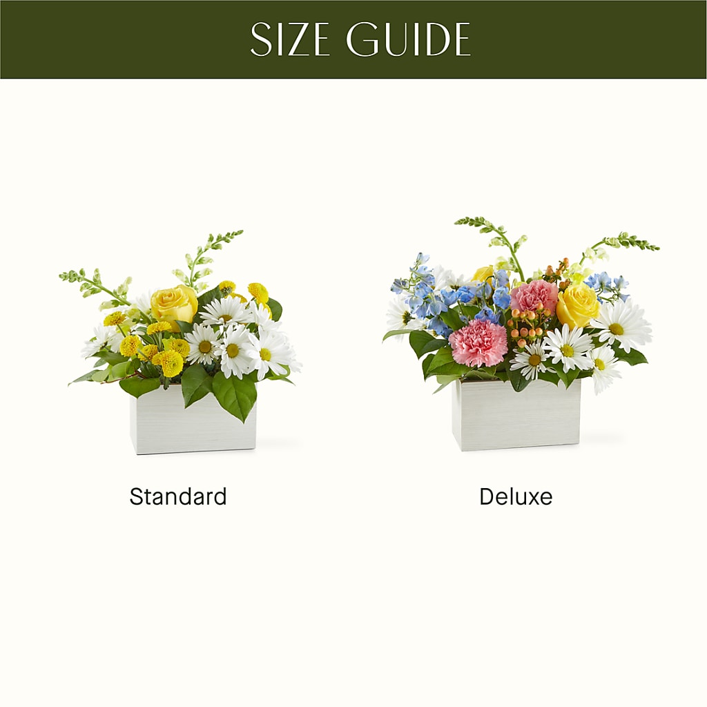 Sun Salutation Box Bouquet – T & T FLORAL, Kingsley MI