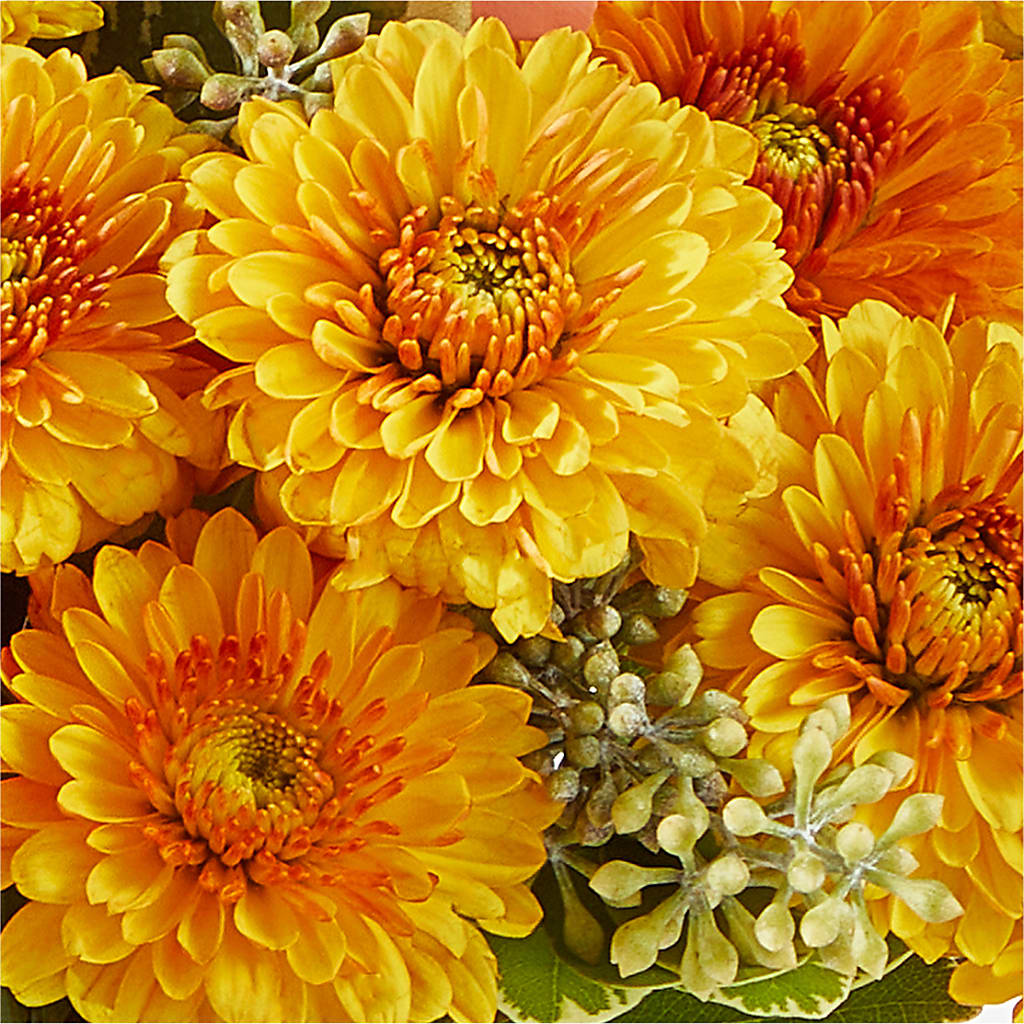 Peachy Pumpkin – T & T FLORAL, Kingsley MI
