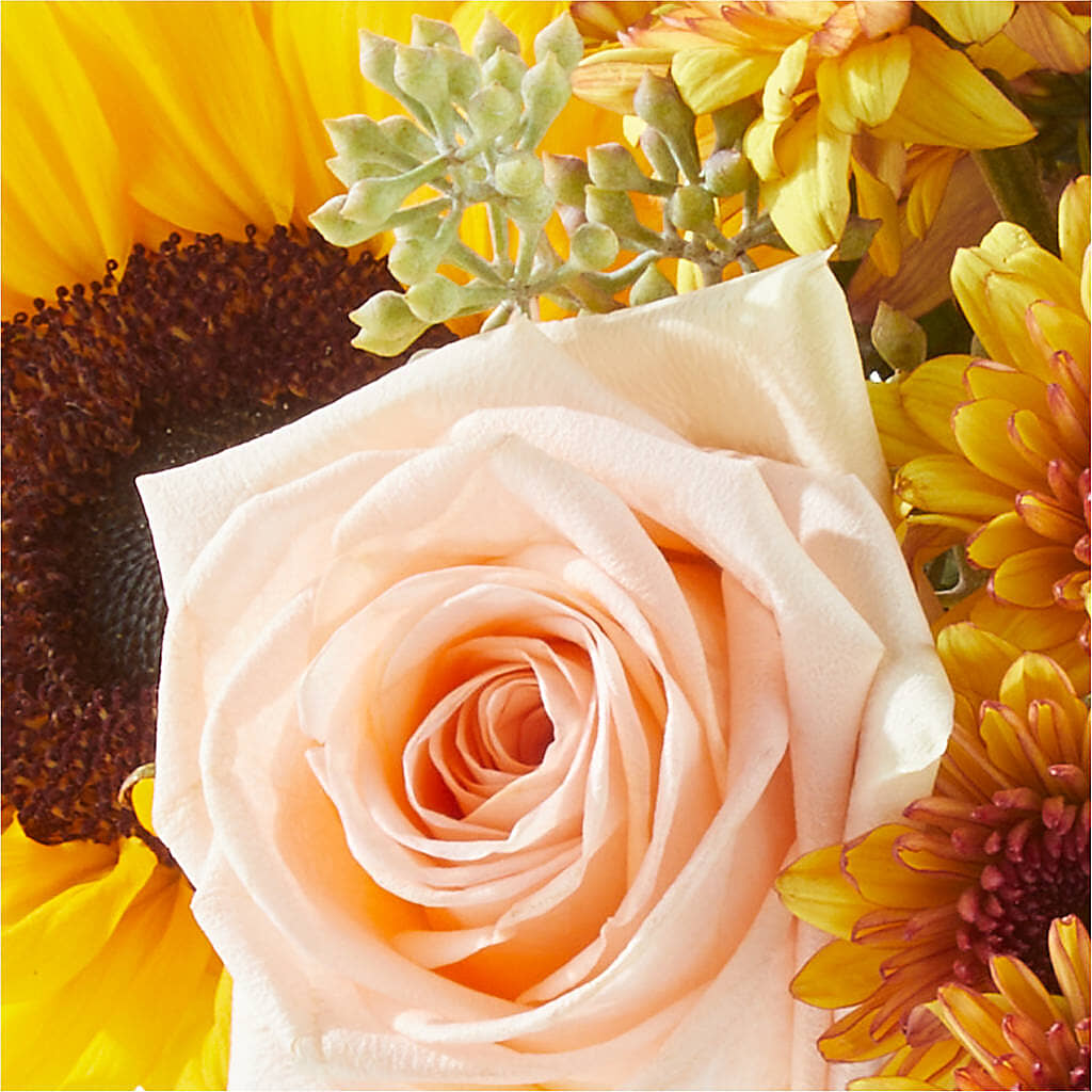 Pumpkin to Talk About Bouquet – T & T FLORAL, Kingsley MI