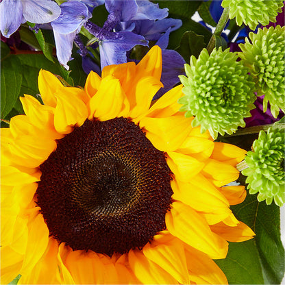 Catching Rays Bouquet – T & T FLORAL, Kingsley MI