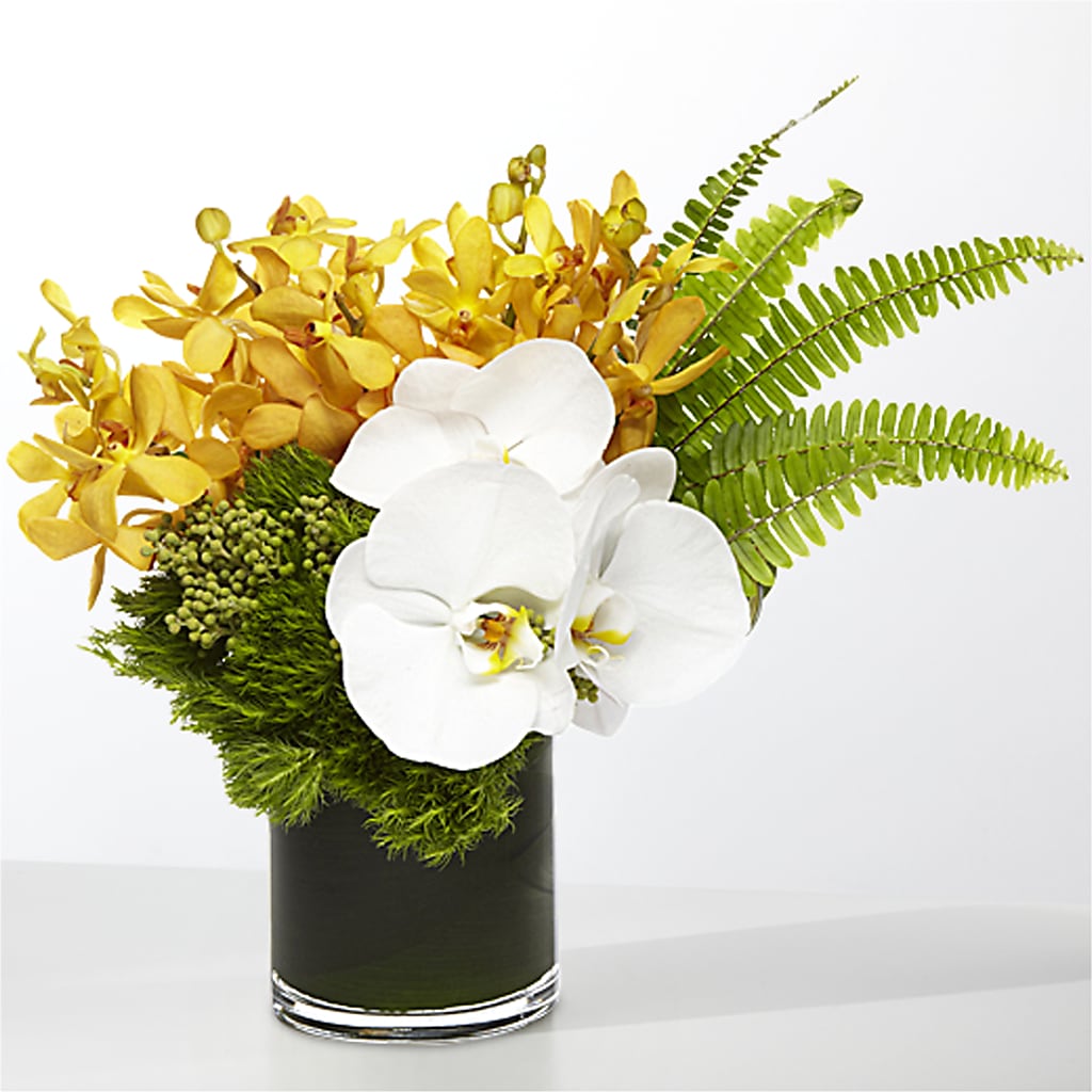 The Tropics – T & T FLORAL, Kingsley MI