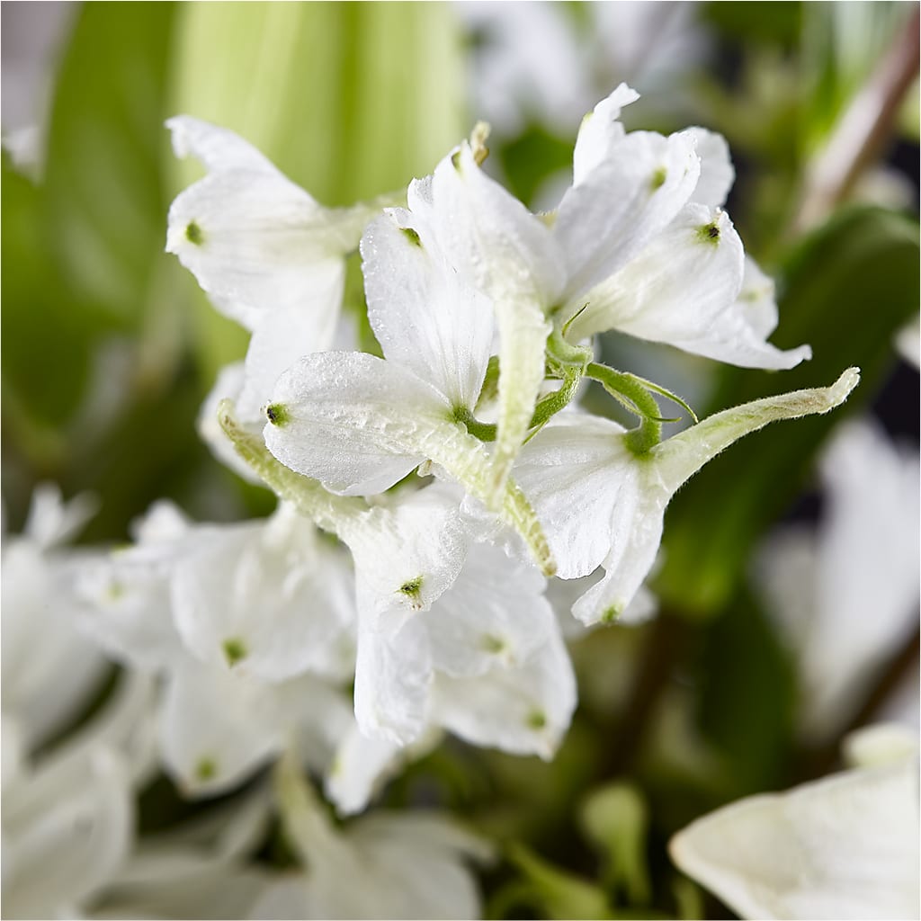 Classic Ivory – A Florist Original – T & T FLORAL, Kingsley MI