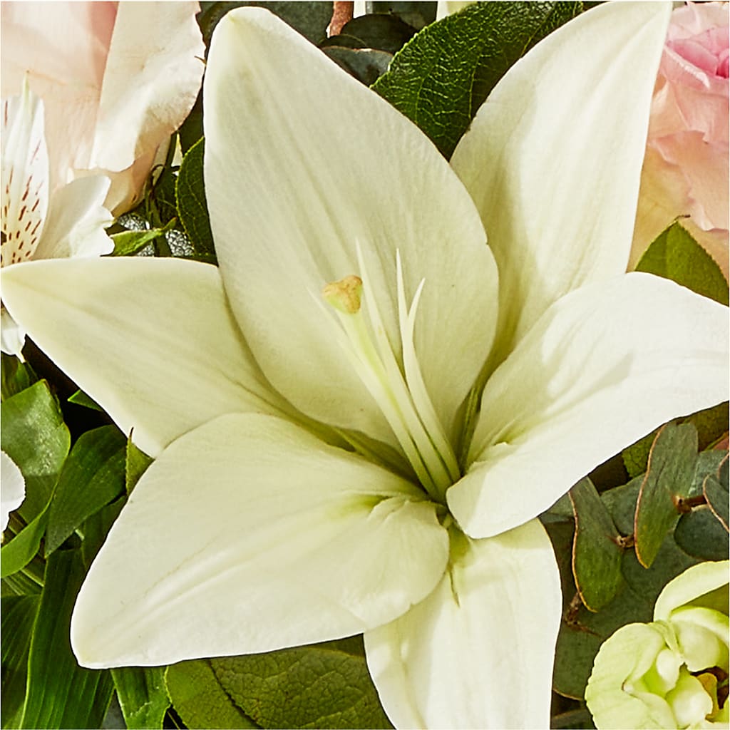 Ballet Slippers Bouquet – T & T FLORAL, Kingsley MI