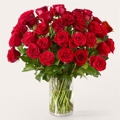 The One Red Rose Bouquet – T & T FLORAL, Kingsley MI