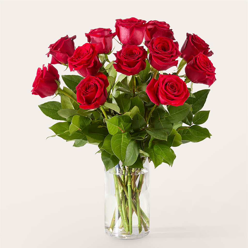 The One Red Rose Bouquet – T & T FLORAL, Kingsley MI